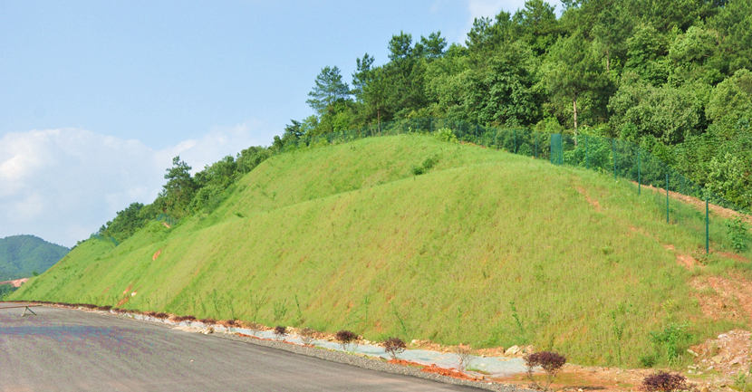 江西·鷹潭至瑞金高速公路建設(shè)項(xiàng)目綠化景觀工程